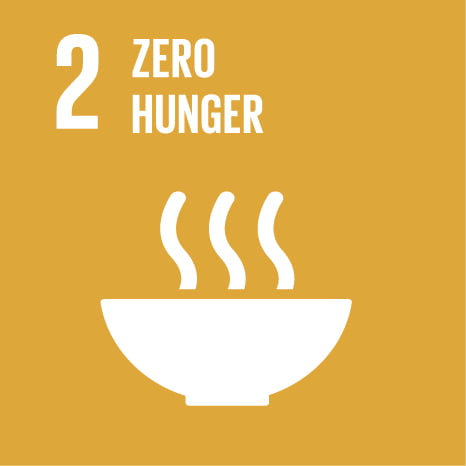 sustainable development goal 2 zero hunger icon