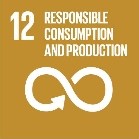 sustainable development goal 12 responsible consumption and production icon